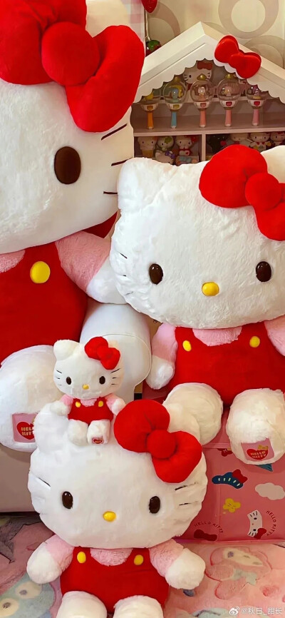 kitty壁纸