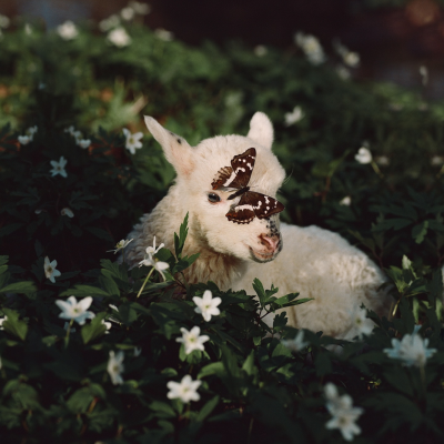 ‎#ليس قوة خارقة