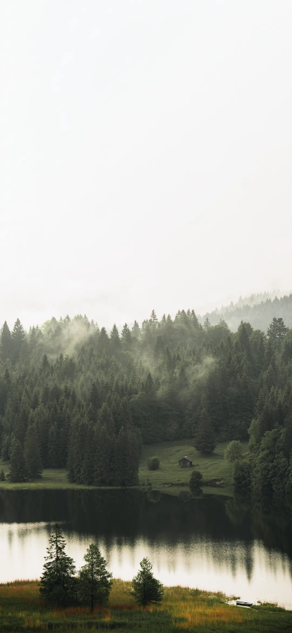 绿色简约聊天背景、锁屏壁纸，质感壁纸，来自网络侵删