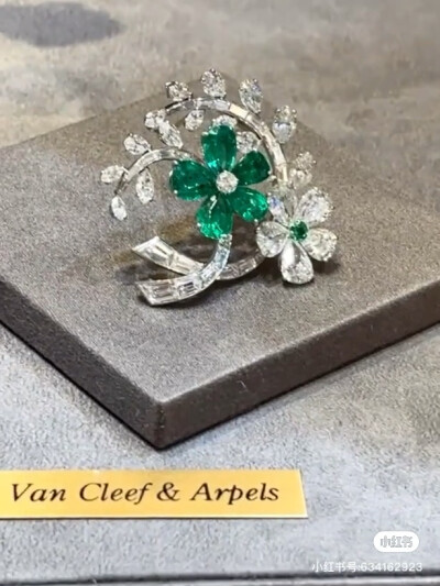 璀璨-小红书转载