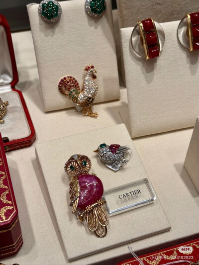 璀璨-小红书转载