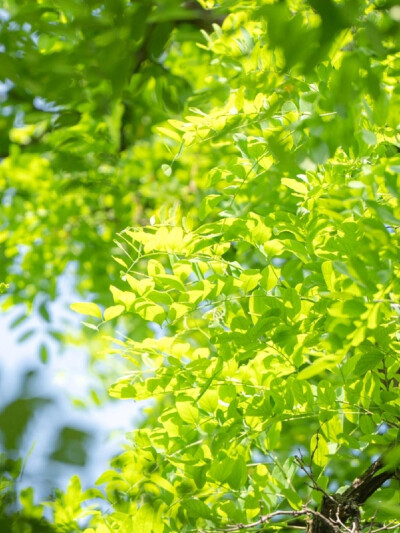 雨天：小清新女头像