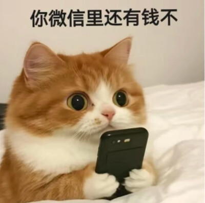 表情包