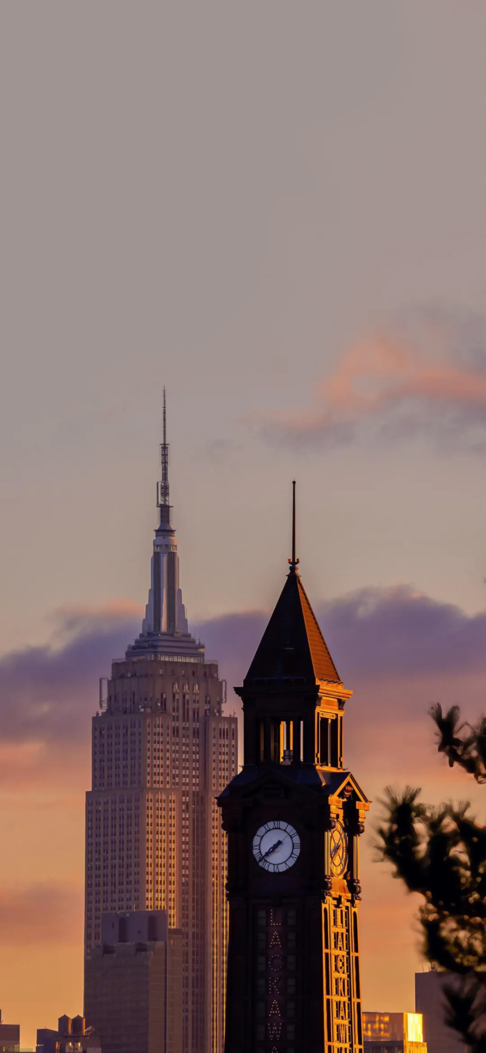 绿色简约聊天背景、锁屏壁纸，质感壁纸，来自网络侵删