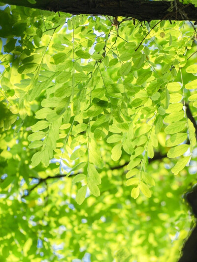 雨天：小清新女头像