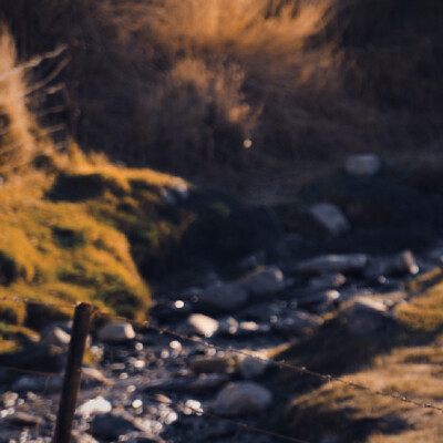 镜头邂逅阳光 折射幸福·
卢昱晓
起司名札