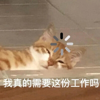 表情包大杂烩