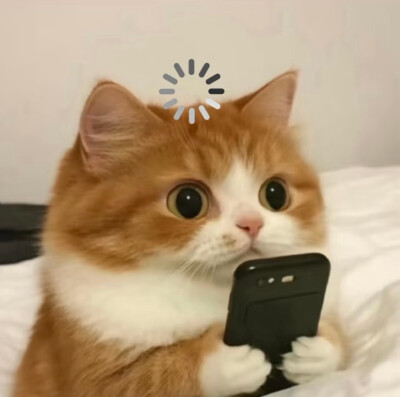 表情包大杂烩