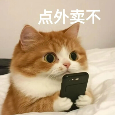 表情包
