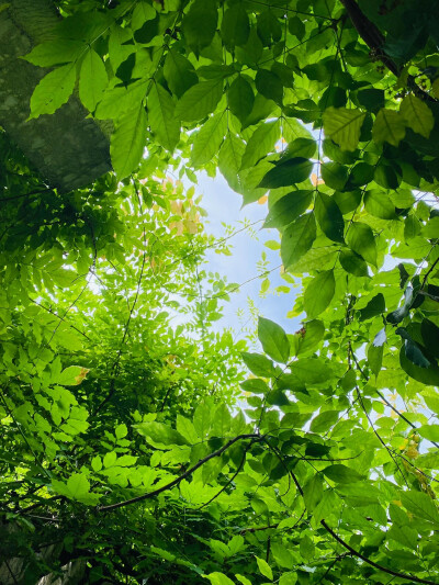 雨天：小清新女头像