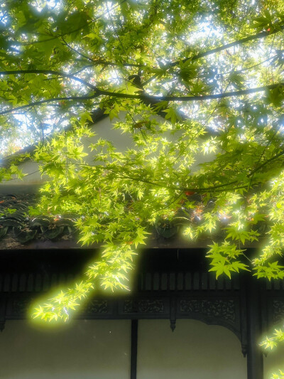 雨天：小清新女头像