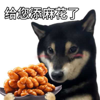 柴犬谐音梗表情包