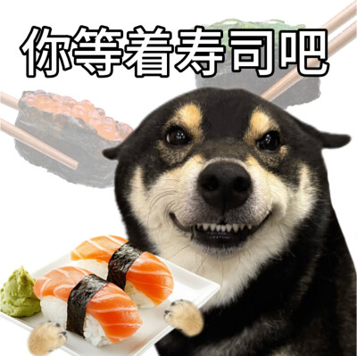 柴犬谐音梗表情包