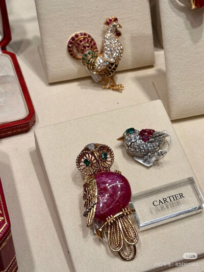 璀璨-小红书转载