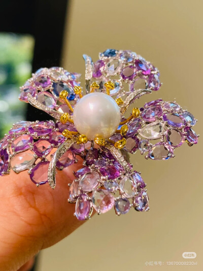 璀璨-小红书转载