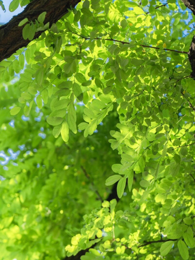雨天：小清新女头像