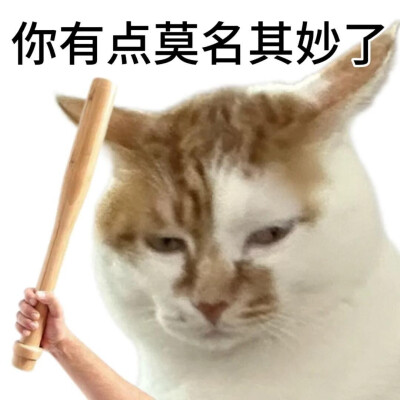 表情包大杂烩