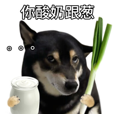 柴犬谐音梗表情包