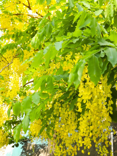 雨天：小清新女头像