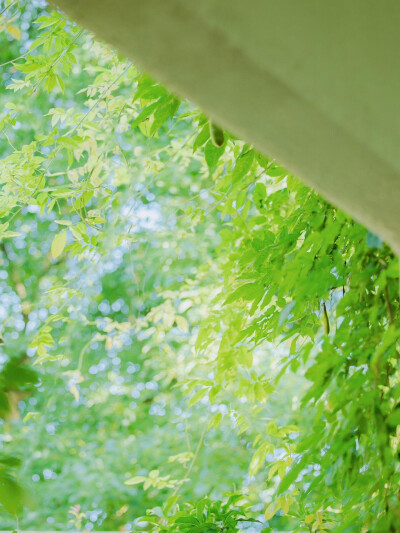 雨天：小清新女头像