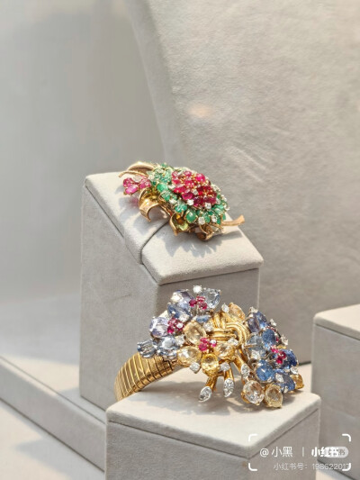 璀璨-小红书转载