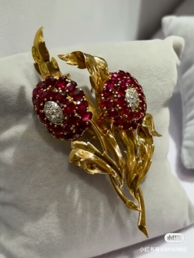 璀璨-小红书转载