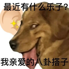 表情包大杂烩