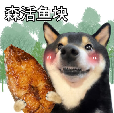 柴犬谐音梗表情包