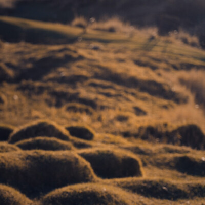 镜头邂逅阳光 折射幸福·
卢昱晓
起司名札