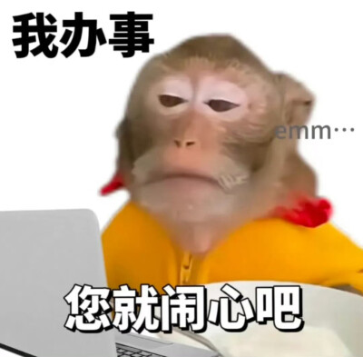 表情包大杂烩