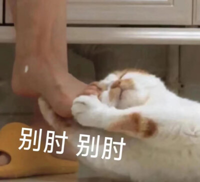 表情包大杂烩