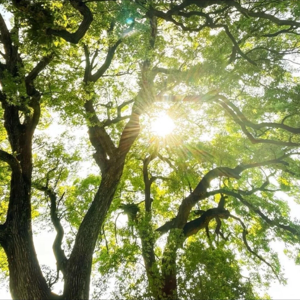 雨天：小清新女头像
