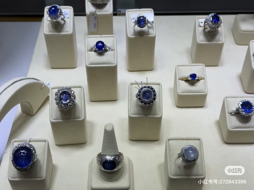 璀璨-小红书转载