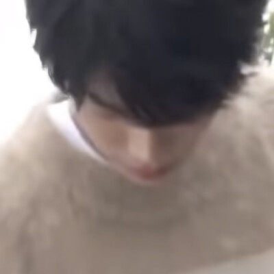 丁禹兮