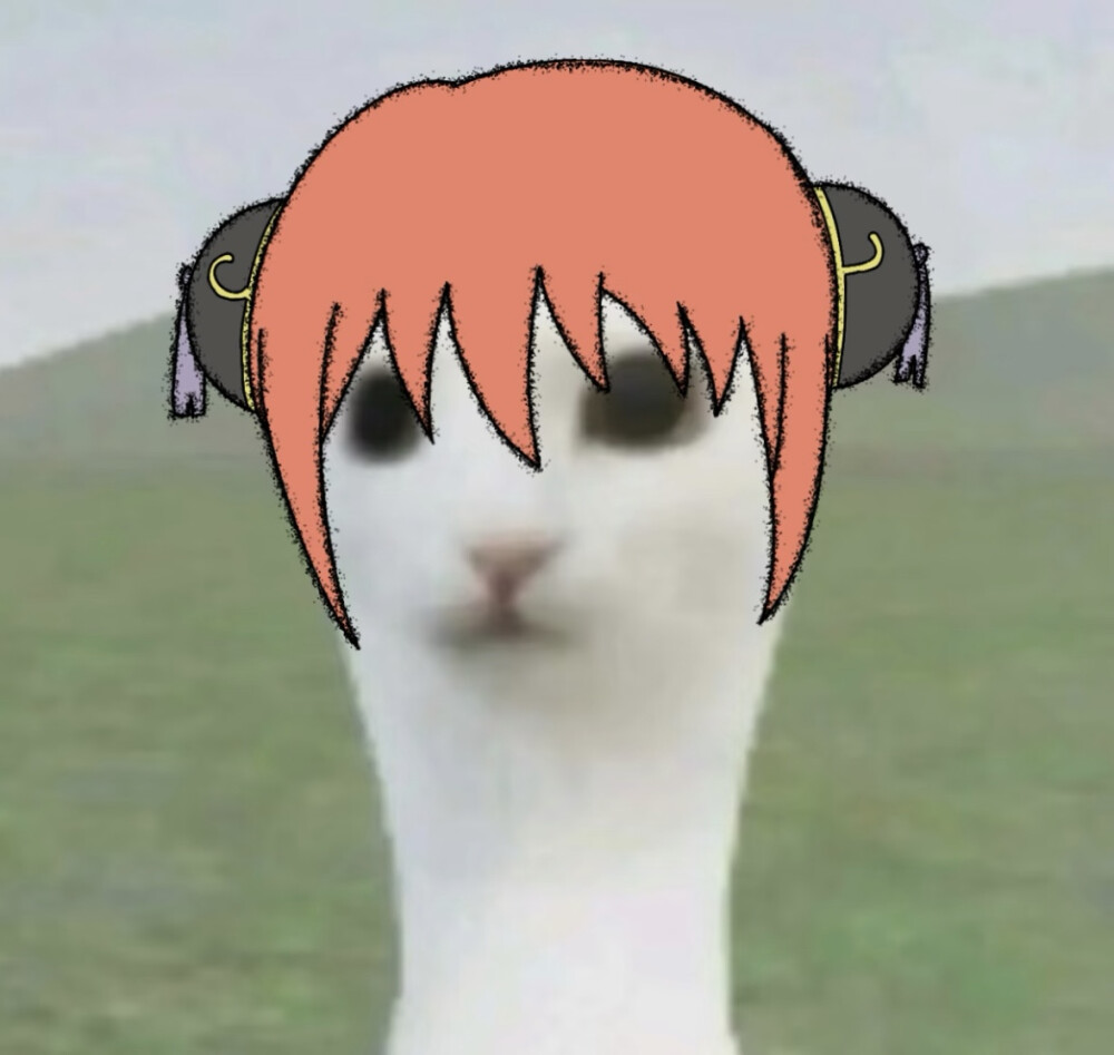 ☆〜（ゝ。∂）