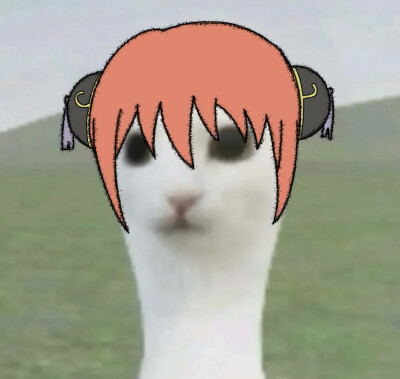 ☆〜（ゝ。∂）