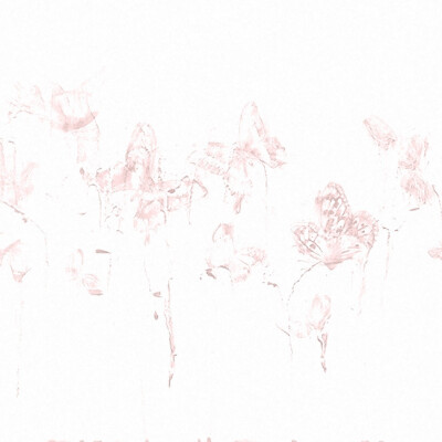 The fantasy of angel♫⊹♬天使^旋律幻想