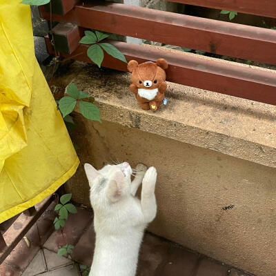 WeChat背景图