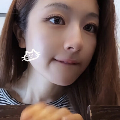 让我无法拒绝的猫