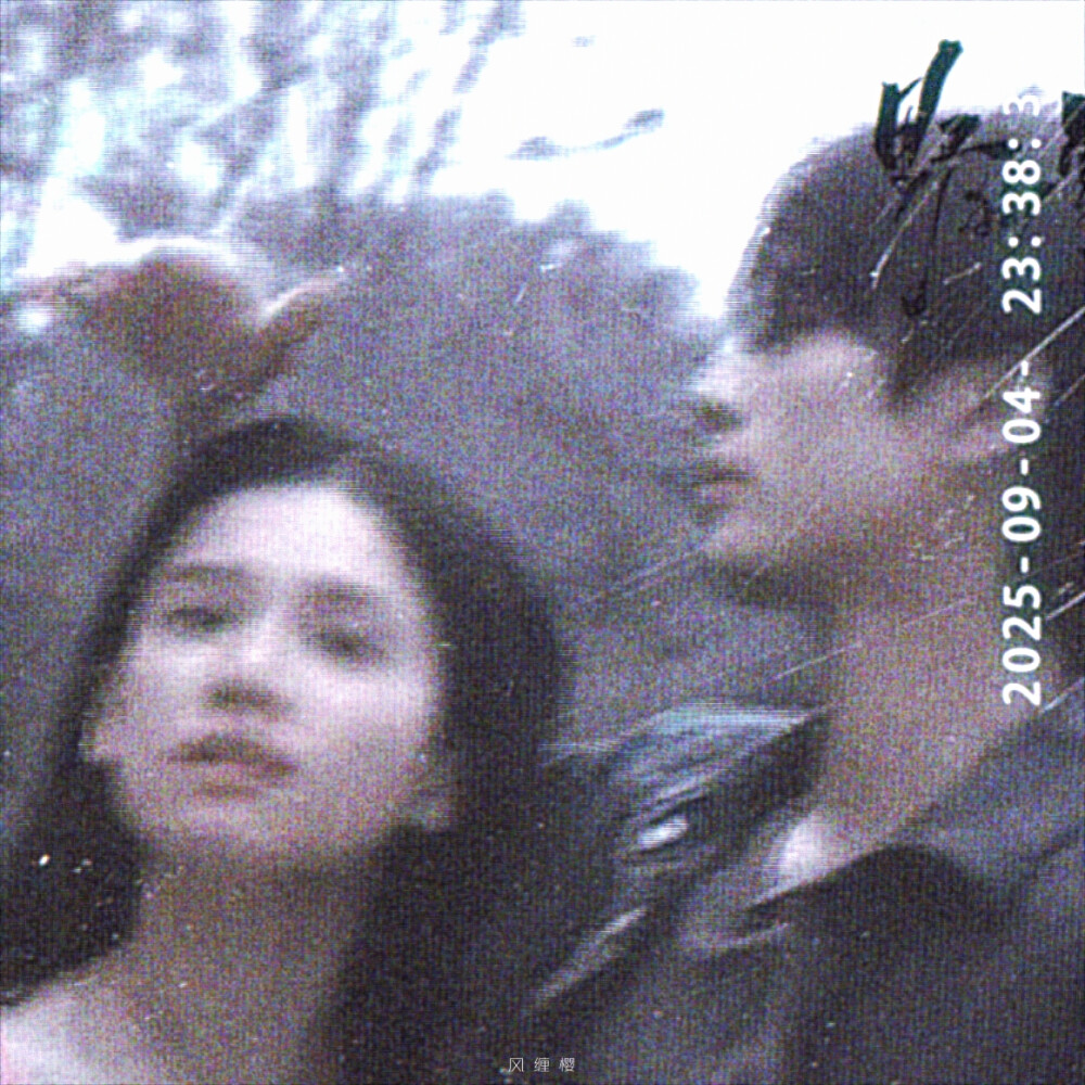 张婧仪 宋威龙 野狗骨头