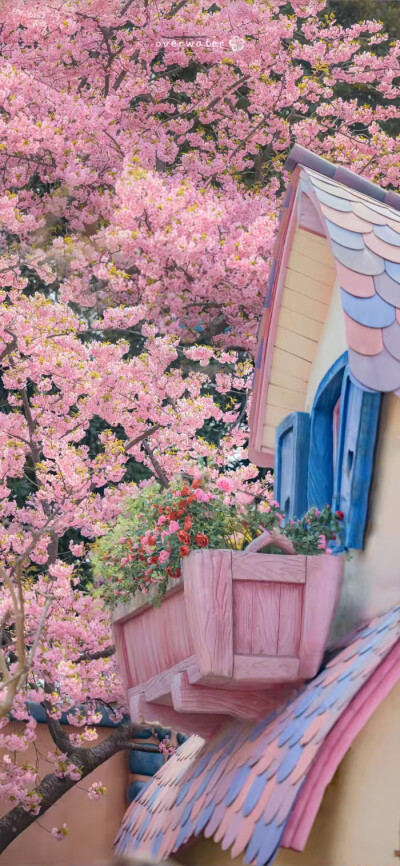 头像，壁纸，图源网络