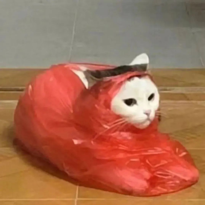 自用图片，壁纸，头像