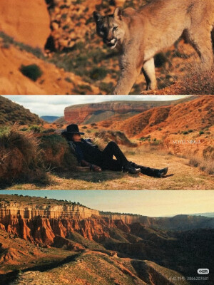 Johnny Deep