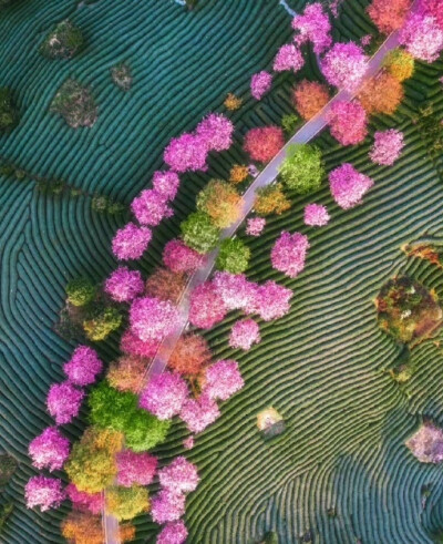 乘风好去，长空万里，直下看山河 .. 