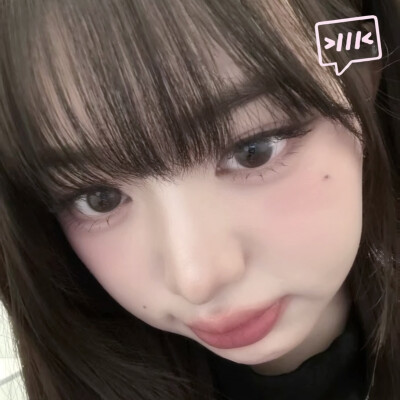 猪包