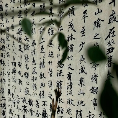 叶舒华可二改