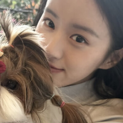 给老婆的保证书