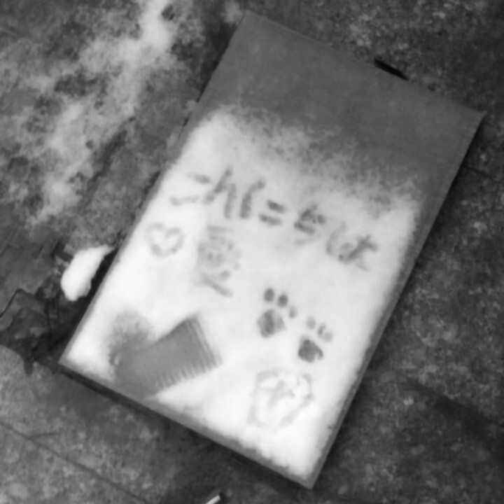 海浪纏綿在第七個冬