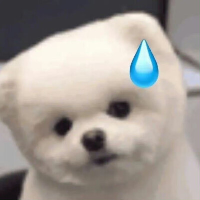 表情包