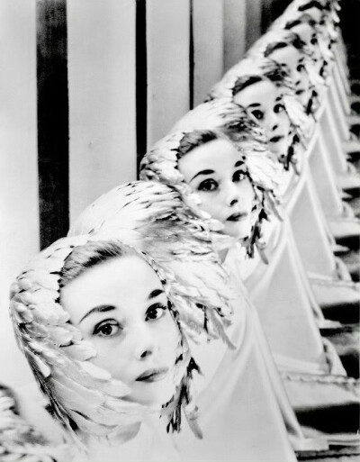 奥黛丽·赫本，1952年(摄影师：Erwin Blumenfeld) ​